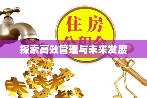 清城探索高效管理与未来发展