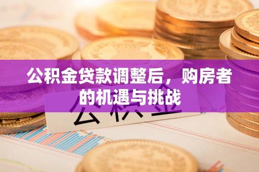 达日公积金贷款调整后，购房者的机遇与挑战