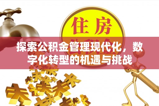武宁探索公积金管理现代化，数字化转型的机遇与挑战