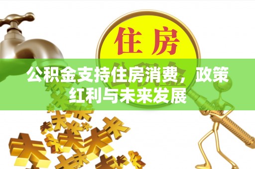 丹巴公积金支持住房消费，政策红利与未来发展