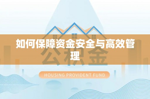 狮潭如何保障资金安全与高效管理