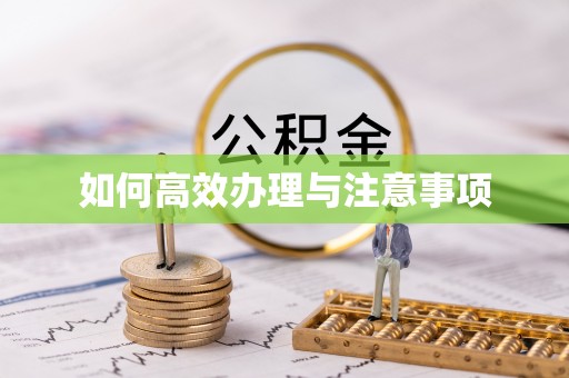 武义县如何高效办理与注意事项