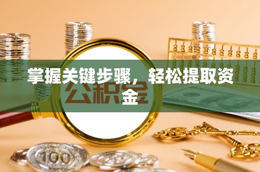 安南掌握关键步骤，轻松提取资金
