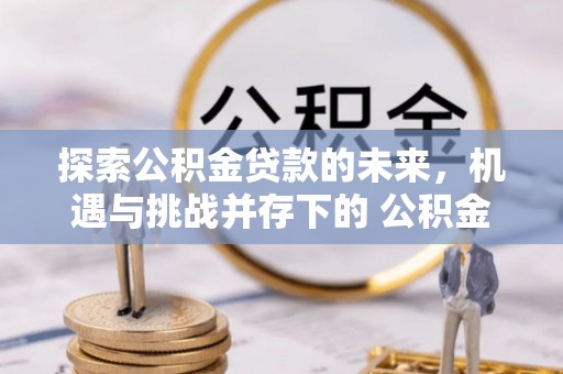 安南探索公积金贷款的未来，机遇与挑战并存下的 公积金贷款风险防控