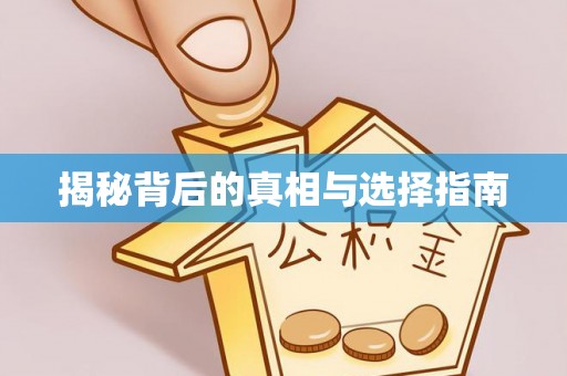 贞丰揭秘背后的真相与选择指南