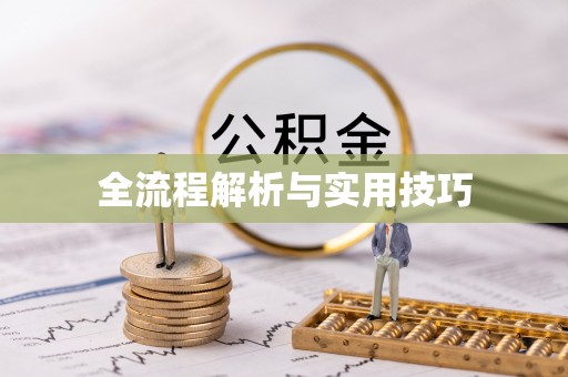 贞丰全流程解析与实用技巧