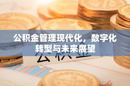 台儿庄公积金管理现代化，数字化转型与未来展望
