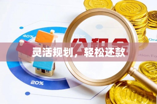 墨江灵活规划，轻松还款