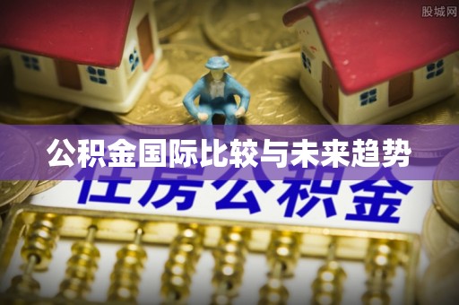 玉山公积金国际比较与未来趋势