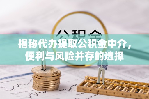遂溪揭秘代办提取公积金中介，便利与风险并存的选择