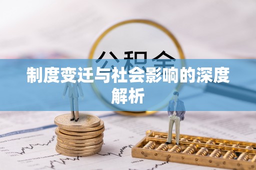 金平制度变迁与社会影响的深度解析