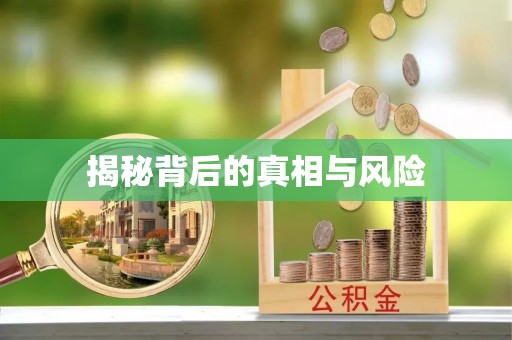 博望揭秘背后的真相与风险