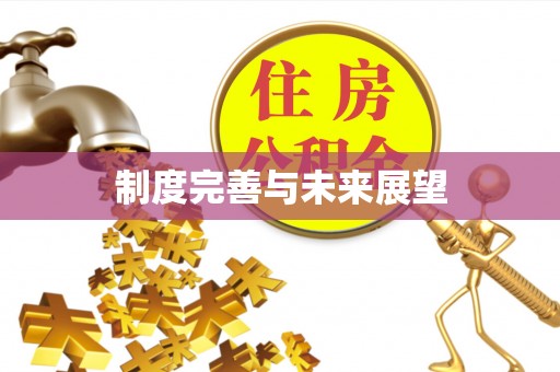 旺苍制度完善与未来展望