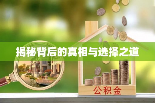 泉港揭秘背后的真相与选择之道