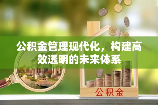 东丽公积金管理现代化，构建高效透明的未来体系
