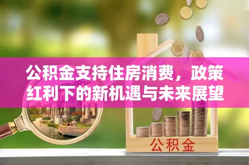 南港公积金支持住房消费，政策红利下的新机遇与未来展望