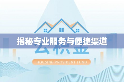 商机揭秘专业服务与便捷渠道