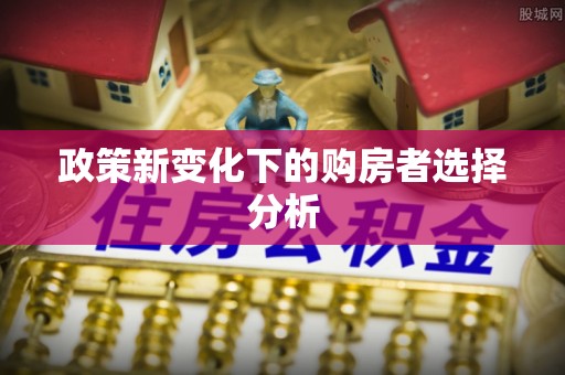 头城政策新变化下的购房者选择分析