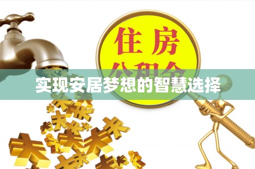 中寮实现安居梦想的智慧选择
