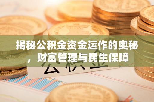 陆丰揭秘公积金资金运作的奥秘，财富管理与民生保障