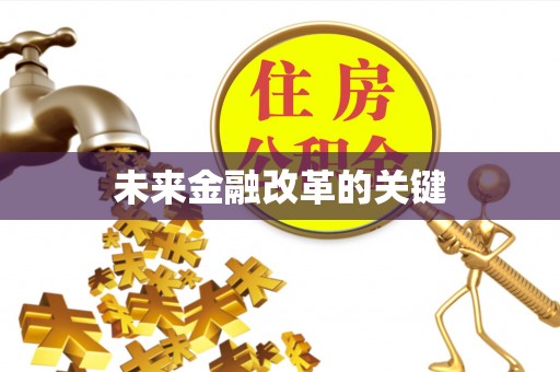 潘集未来金融改革的关键