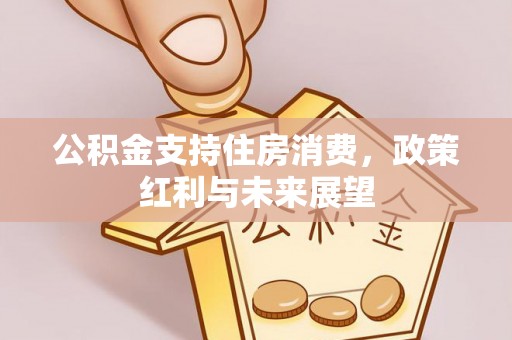 雷山公积金支持住房消费，政策红利与未来展望