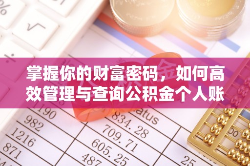 泾河掌握你的财富密码，如何高效管理与查询公积金个人账户信息
