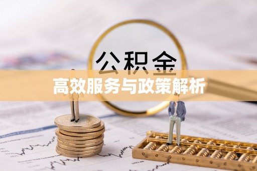 南漳高效服务与政策解析
