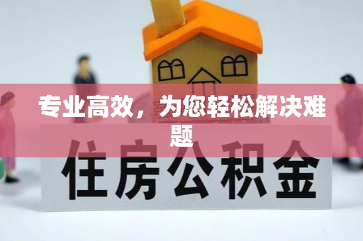 微山专业高效，为您轻松解决难题