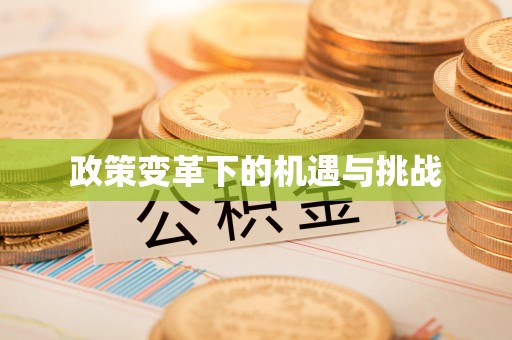小金政策变革下的机遇与挑战
