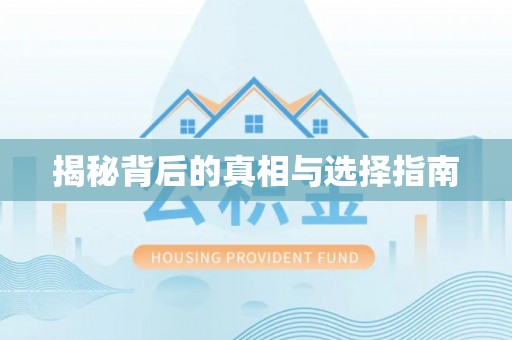 布袋揭秘背后的真相与选择指南