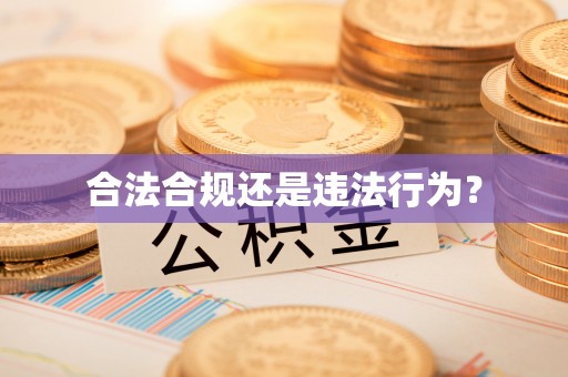 宁夏合法合规还是违法行为？