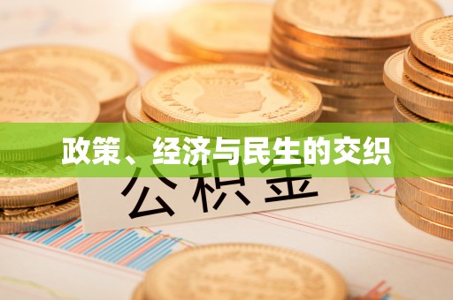 富阳政策、经济与民生的交织