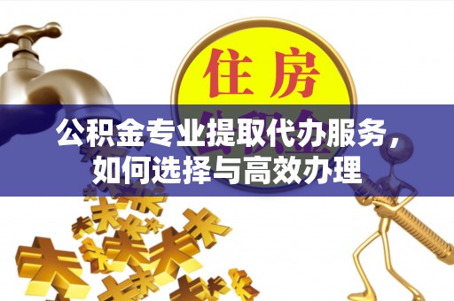 平舆公积金专业提取代办服务，如何选择与高效办理