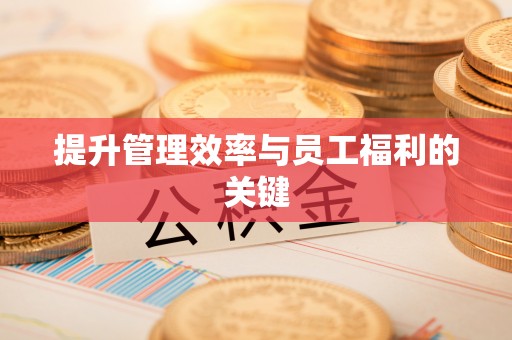 东西湖提升管理效率与员工福利的关键