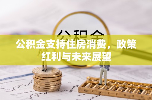 芜湖公积金支持住房消费，政策红利与未来展望