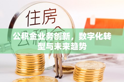 澄江公积金业务创新，数字化转型与未来趋势