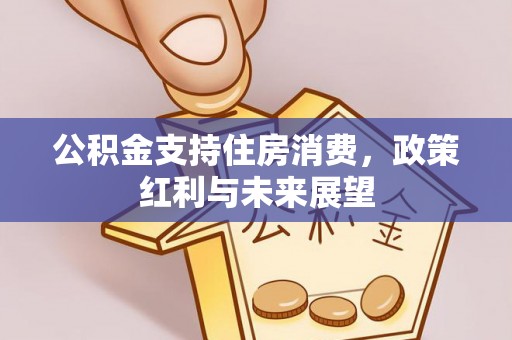 中和公积金支持住房消费，政策红利与未来展望
