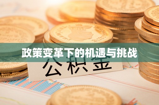 五寨政策变革下的机遇与挑战