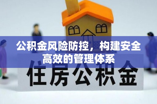 荔浦公积金风险防控，构建安全高效的管理体系