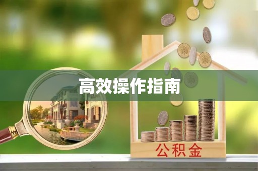 岚山高效操作指南