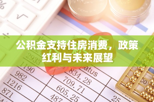 白玉公积金支持住房消费，政策红利与未来展望