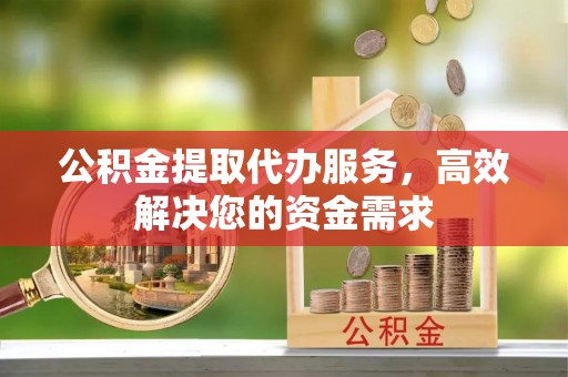 田中公积金提取代办服务，高效解决您的资金需求
