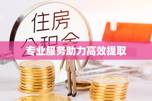 宾县专业服务助力高效提取