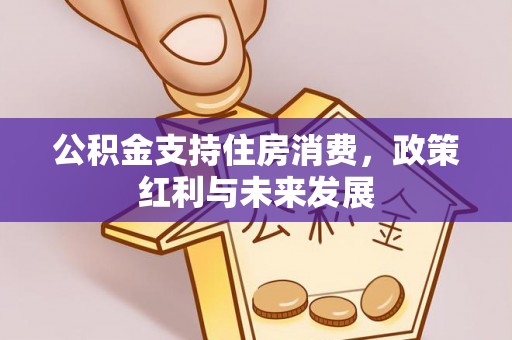 龙陵公积金支持住房消费，政策红利与未来发展