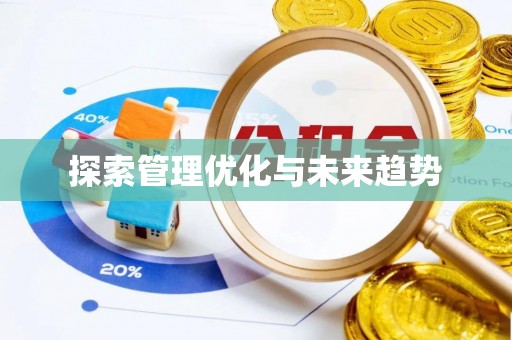 鸡东探索管理优化与未来趋势