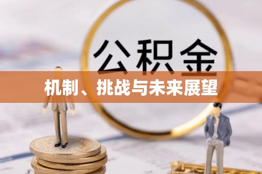 京口机制、挑战与未来展望